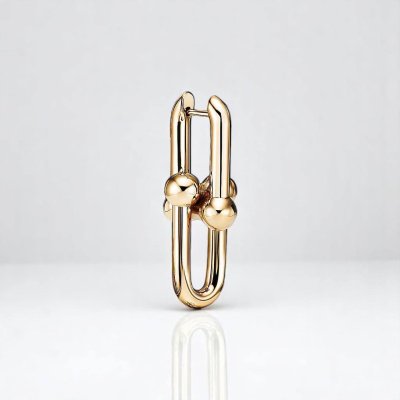 Large Link Earrings