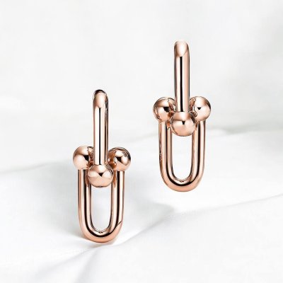 Large Link Earrings