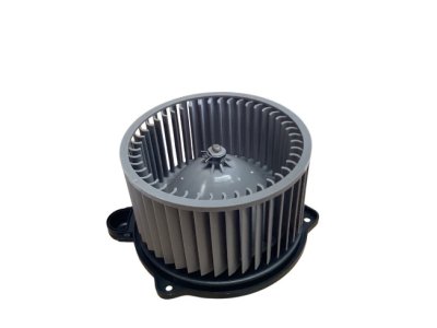 BT50 12V