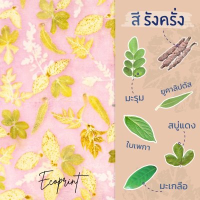 ECO ผ้าพันคอ สีรังครั่ง