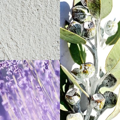 Purifying Seaweed Clay Mask