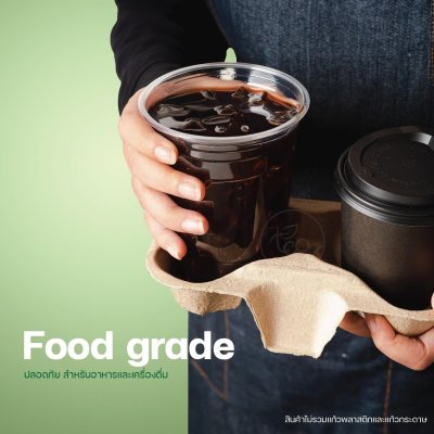 Cup Holder Tray Molded Pulp Double Slots