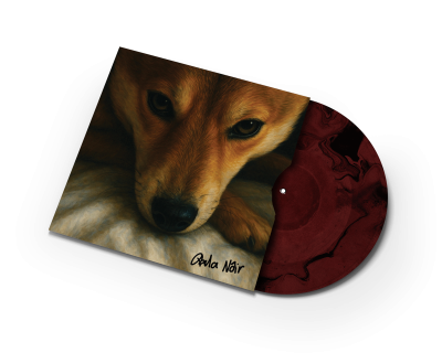 ✦ 20 Something — Limited Vinyl Edition ✦