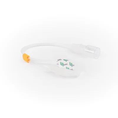Cannula