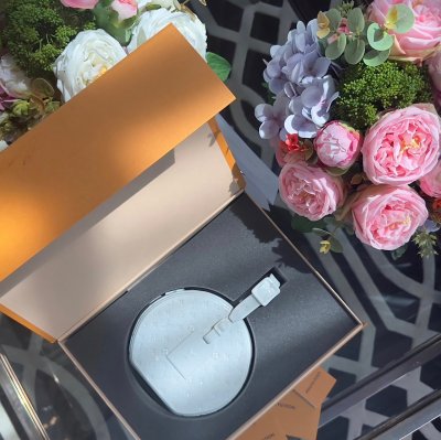 Louis Vuitton Vase