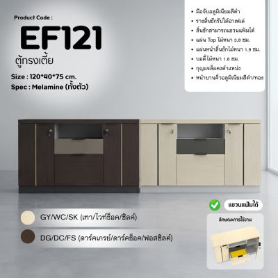 ตู้เอกสาร รุ่น EF121 ขนาด 120 ซม.