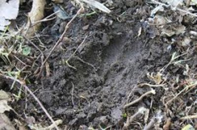 เทคนิคการอ่านและวิเคราะห์ผลการสำรวจดิน (Soil Test)  สำหรับการออกแบบเสาเข็มและฐานราก เทคนิคการอ่านและวิเคราะห์ผลการสำรวจดิน (Soil Test)  สำหรับการออกแบบเสาเข็มและฐานราก