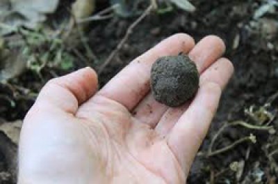 เทคนิคการอ่านและวิเคราะห์ผลการสำรวจดิน (Soil Test)  สำหรับการออกแบบเสาเข็มและฐานราก เทคนิคการอ่านและวิเคราะห์ผลการสำรวจดิน (Soil Test)  สำหรับการออกแบบเสาเข็มและฐานราก