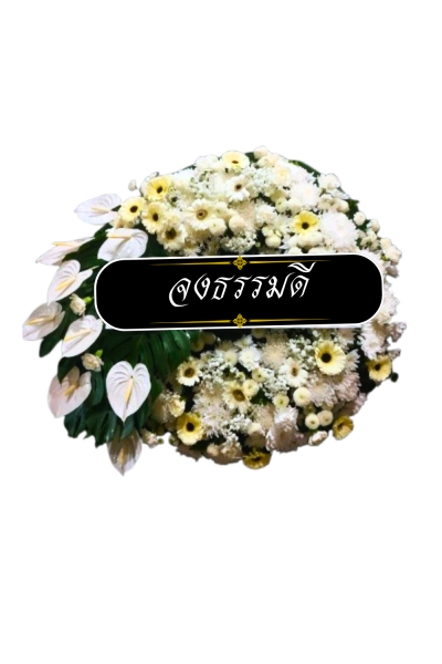 พวงหรีดดอกไม้สด 90 เซนติเมตรสีขาว แซมดอกสีเหลือง เยอร์บีร่า พวงหรีดดอกไม้สด 90 เซนติเมตรสีขาว แซมดอกสีเหลือง เยอร์บีร่า