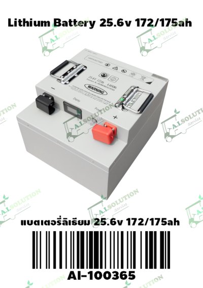 Lithium Battery LiFePo4 (LFP) 25.6.V 172