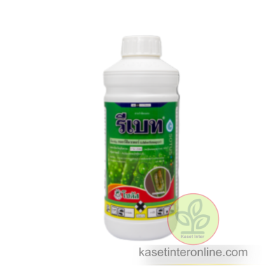 รีเบท (Rebate)