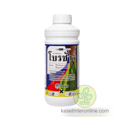 โบรชัวร์ (Brochure)