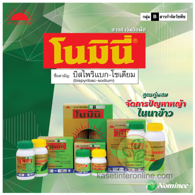 โนมินี่+ซันบินเดอร์