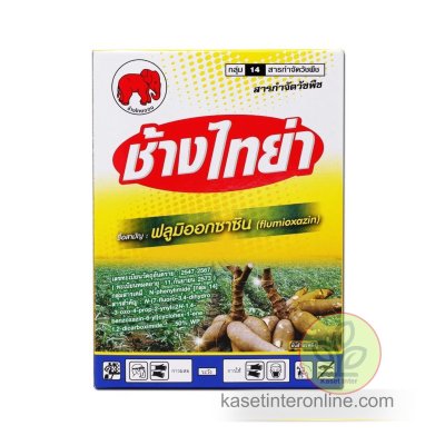 ช้างไทย่า (ฟลูมิออกซาซิน)