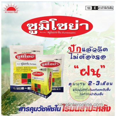 ซูมิโซย่า ฟลูมิออกซาซิน (Flumioxazin) 50% WP