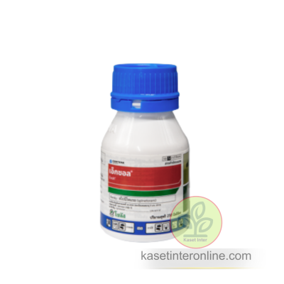 เอ็กซอล (Exalt)