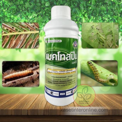 แบคโทสปริน (Bactospeine)