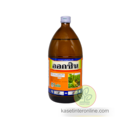 ออกซิน (Auxin)