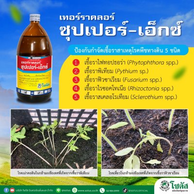 เทอร์ราคลอร์ ซุปเปอร์-เอ็กซ์ (Terraclor Super-X)