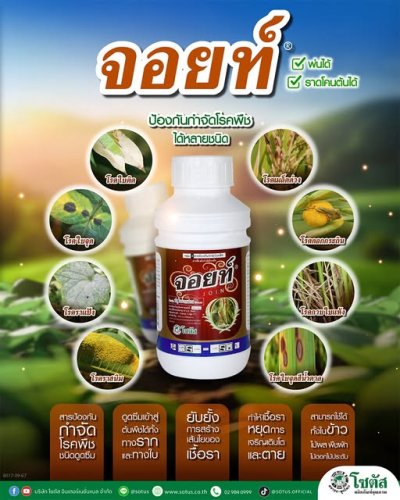 จอยท์ (Joint)