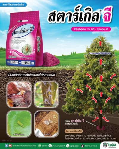 สตาร์เกิล จี (Starkle G)