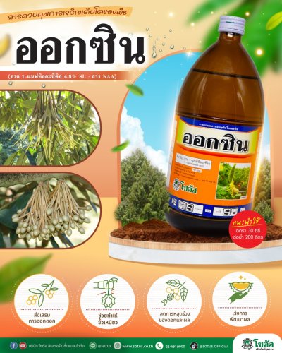 เอ็กซอล (Exalt)