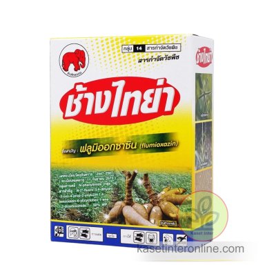 ช้างไทย่า (ฟลูมิออกซาซิน)