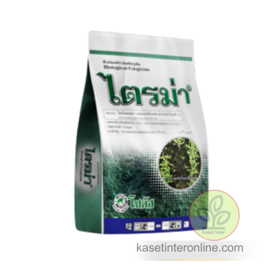 ไตรม่า (Trima)