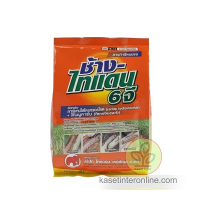 ช้างไทแดน 6จี