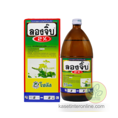 ลองจิ๊บ 2% (Long Gibb 2%)