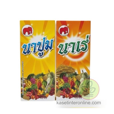 นาบูม นาเร่ เร่งแป้ง เพิ่มน้ำหนักเมล็ดข้าว