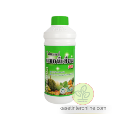 โฟแมกซ์ แมกนีเซียม 300 (Phomax Mg 300)