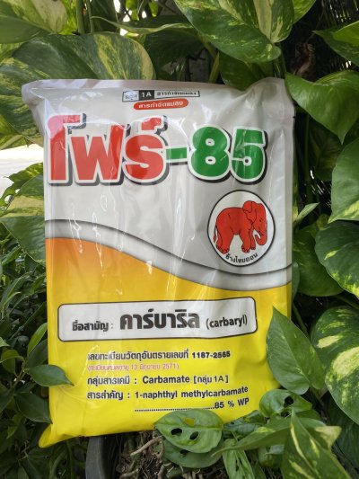 โฟร์-85 คาร์บาริล (Carbaryl) 85% WP