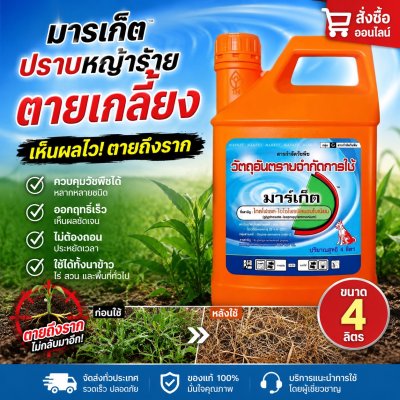 มาร์เก็ต ไกลโฟเซต48