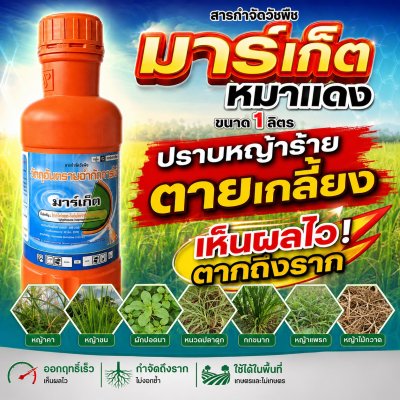 มาร์เก็ต ไกลโฟเซต48