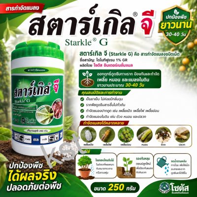 สตาร์เกิล จี (Starkle G)