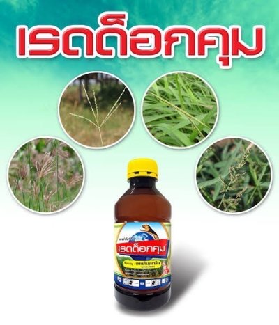 เรดด็อกคุม Pendimethalin 33% W/V EC