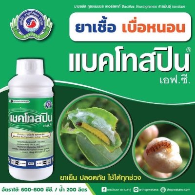 แบคโทสปริน (Bactospeine)