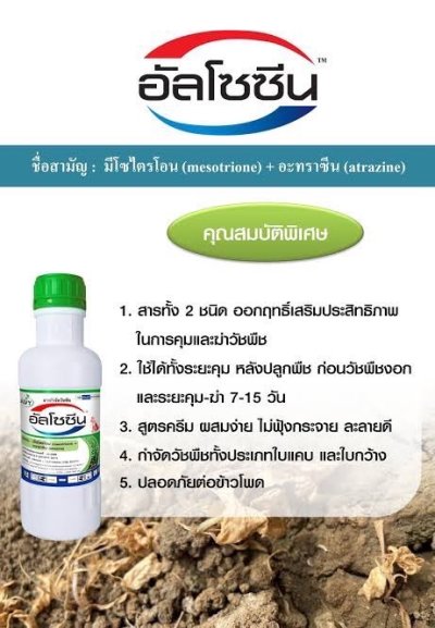 อัลโซซีน Mesotrione + Atrazine 2.5% + 25% W/V SC