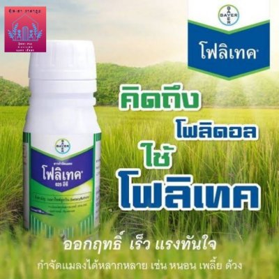 โฟลิเทค® 025 อีซี (Folitec® 025 EC)
