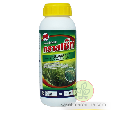 กราสเซ็ท ควิกคอลแรก W/V SC