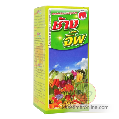 ช้างจิ๊พ ฮอร์โมนพืช กระตุ้นการยืดขยายเซลล์