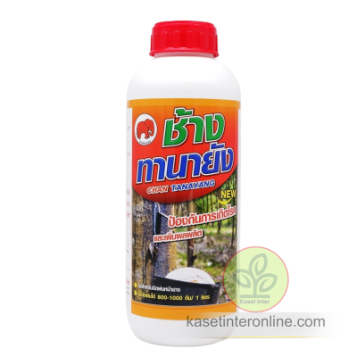 ช้างทานายัง ป้องกันโรคและเพิ่มผลผลิตในยางพารา