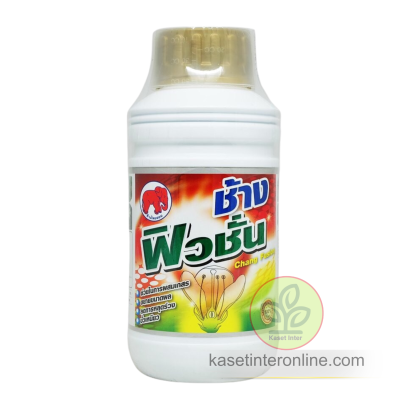 ช้างฟิวชั่น ผสมเทียมเกสร ขยายผล ลดการหลุดร่วง