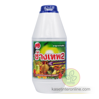 ช้างเทพ2 เพิ่มดอก ผลดก อย่างมีประสิทธิภาพ