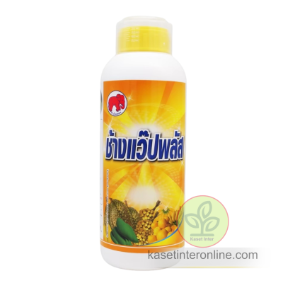 ช้างแว๊ปพลัส ช่วยให้ขั้วเหนียว ลดหลุดร่วง ติดผลดก ผลผลิตคุณภาพ