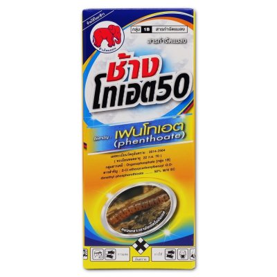 ช้างโทเอต 50 (เฟนโทเอต)