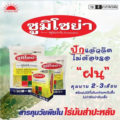 ซูมิโซย่า ฟลูมิออกซาซิน (Flumioxazin) 50% WP