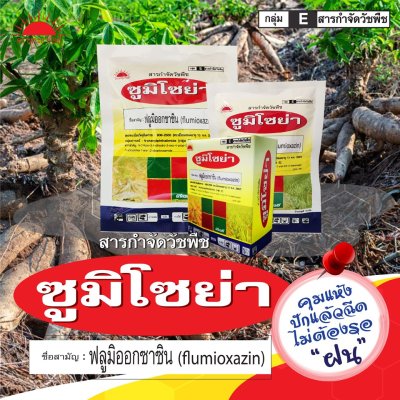 ซูมิโซย่า ฟลูมิออกซาซิน (Flumioxazin) 50% WP