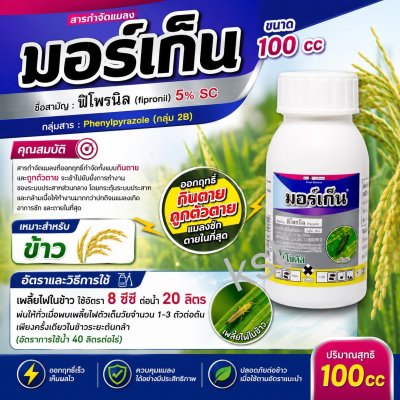 มอร์เก็น (Moregain) 100ซีซี
